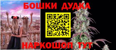 крисы Абинск