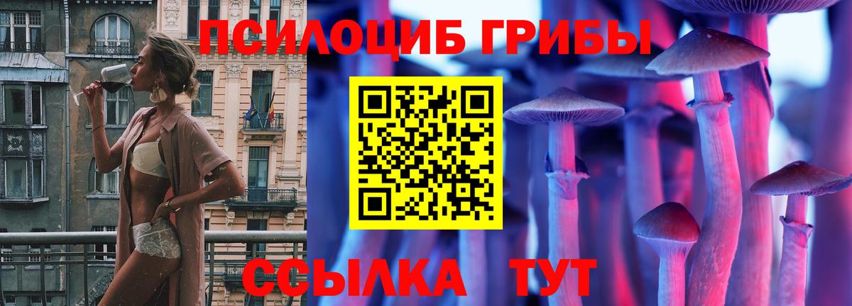 Псилоцибиновые грибы Psilocybe  Галлюциногенные грибы GOLDEN TEACHER  Подольск 